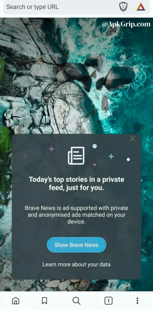 Key Features Of Brave Browser