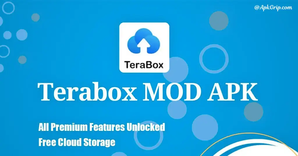 Usage of TeraBox MOD APK