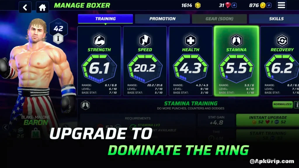 Fighter Stats And RPG-Style Progression