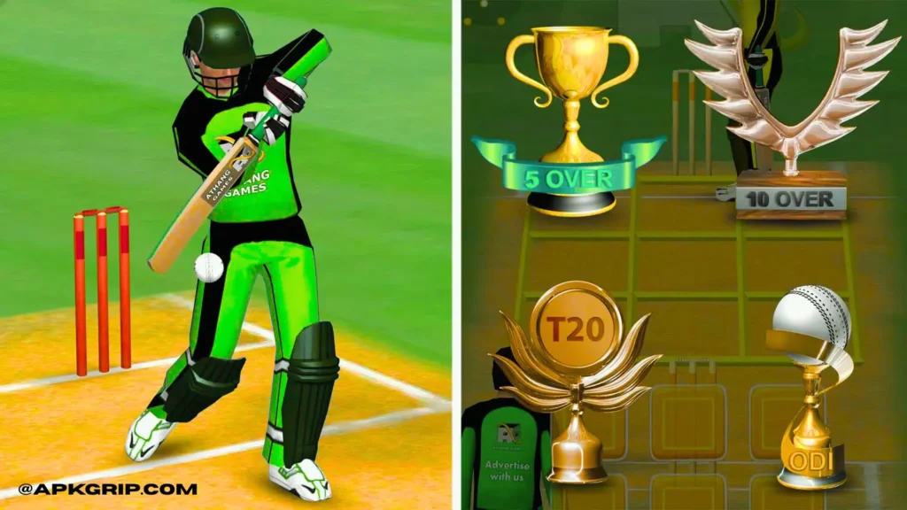introduction of Smashing Cricket MOD APK