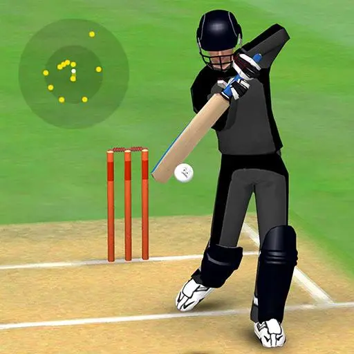 Smashing Cricket MOD APK