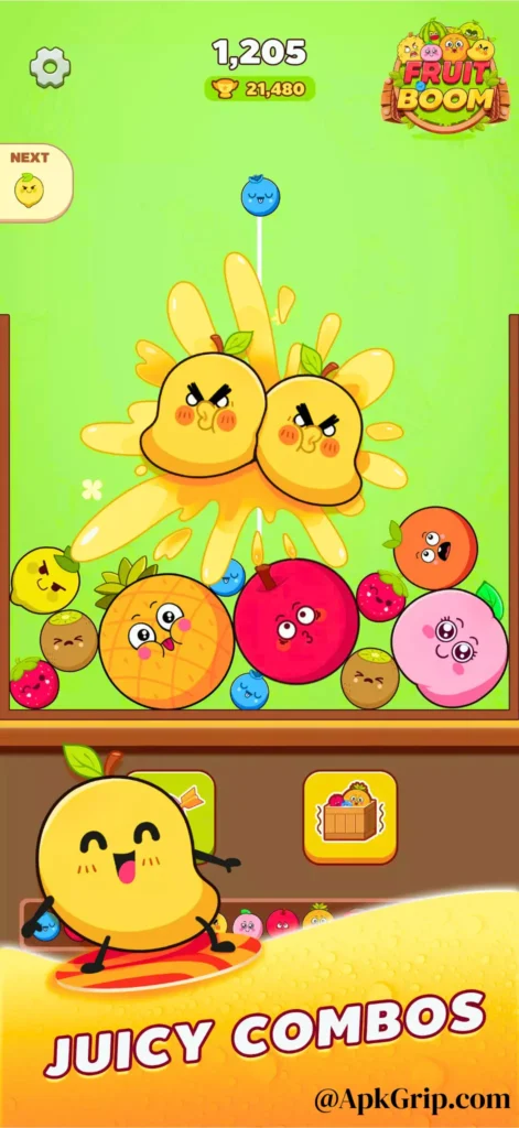 Detailed Features Of Fruit Boom APK